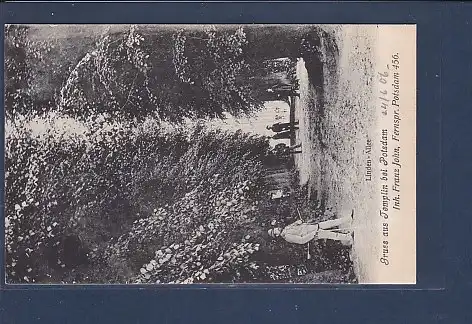 AK Gruss aus Templin bei Potsdam Linden Allee 1906