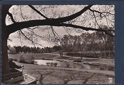 AK Berlin Zehlendorf Fischtalgrund 1960