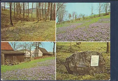 AK Drebach ( Kr. Zschopau) Krokuswiesen 4.Ansichten 1982