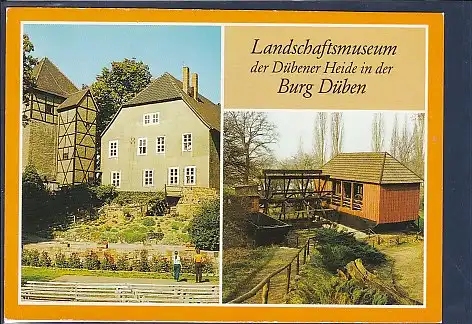 AK Landschaftsmuseum der Dübener Heide in der Burg Düben 1989