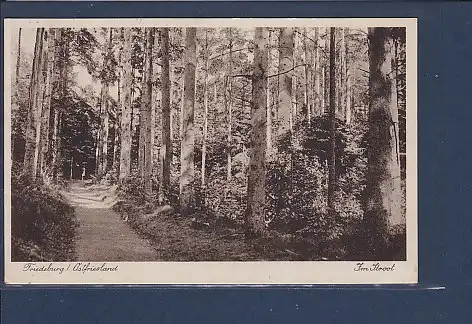 AK Friedeburg / Ostfriesland Im Stroot 1929