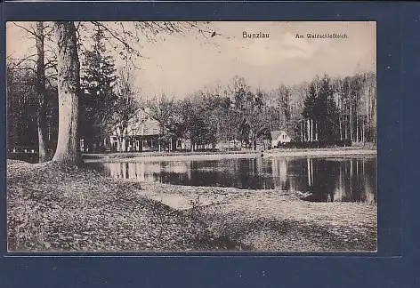 [Ansichtskarte] AK Bunzlau Am Waldschloßteich 1919. 