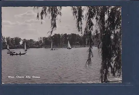 AK Wien - Obere Alte Donau 1965