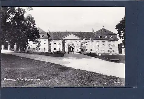 AK Marchegg N.Oe. Jagdmuseum 1965