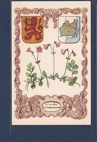 AK Smaland Linnea Linnoea borealis 1957
