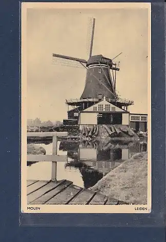 AK Molen Leiden 1971