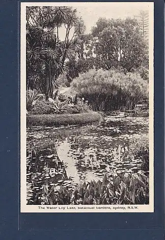 AK The Water Lily Lake Botanical Gardens Sydney 1920