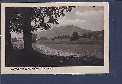 AK Luftkurort Lückendorf Hochwald 1955