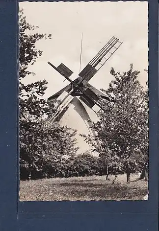 AK Syrau ( Vogtl.) Windmühle 1961