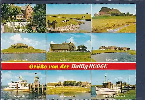 AK Grüße von der Hallig Hooge 9.Ansichten 1980