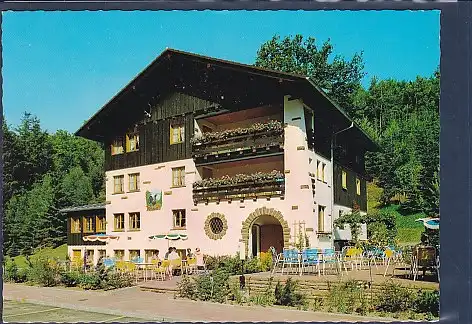 AK Hotel Pension Forellen Rainmühle Rothenkirchen 1970