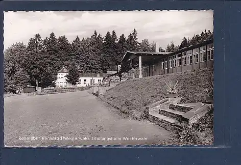 AK Rehe über Rennerod Erholungsheim Westerwald 1955