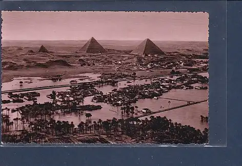 AK The Pyramids during the Nile Flood 1960