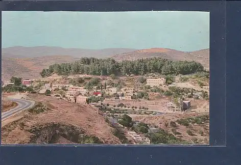 AK Safad - General View 1950