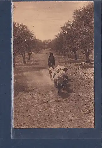 AK Palestine On the way of Bethlehem 1933