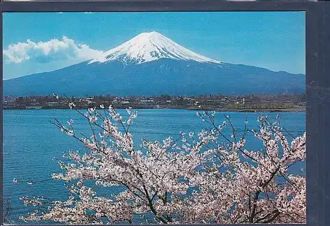 AK Mt Fuji and Cherry Blcssoms The Symbol of Japan 1977