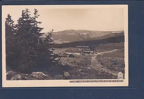 AK Riesen Gebirge Spindlerbaude Gegen Den Elb Grund 1924
