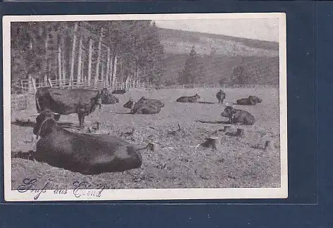 AK Gruss aus Elend  Elend im Harz Harzkühe 1949
