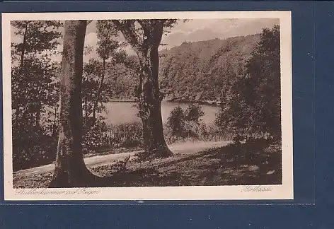 AK Stubbenkammer auf Rügen Herthasee 1923