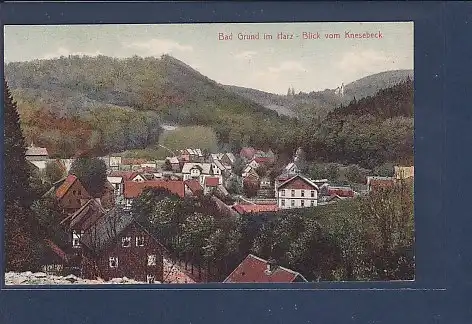 AK Bad Grund im Harz - Blick vom Knesebeck 1920