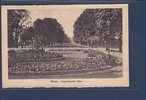 AK Bonn - Poppelsdorfer Allee 1930