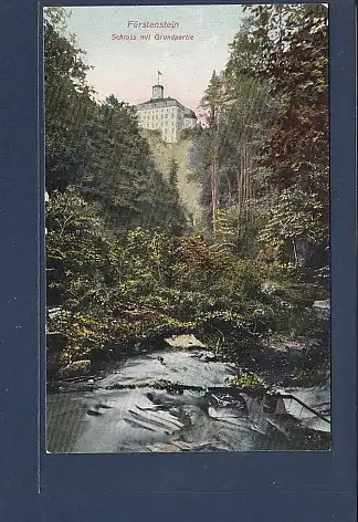 AK Fürstenstein Schloss mit Grundpartie 1910