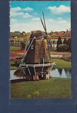 AK Holland Land der Blumen und Mühlen 1969
