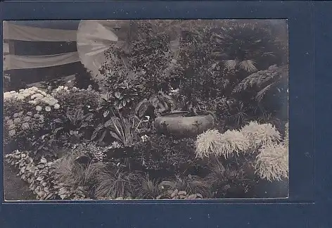 AK Dansk Chrysanthemumselskabs Udstilling Forum 