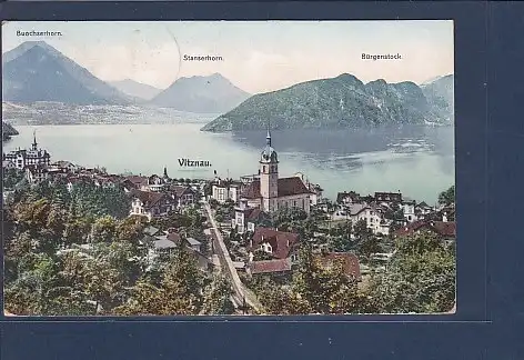 AK Vitznau  Buochserhorn - Stanserhorn - Bürgenstock 1908