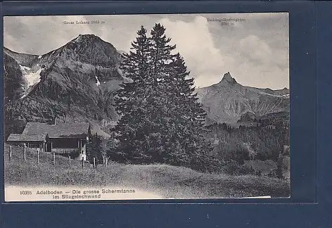 AK Adelboden - Die grosse Schermtanne im Stiegelschwand 1920