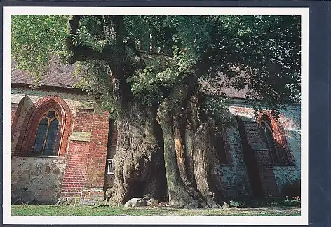 AK Wesehber Kirche 2000