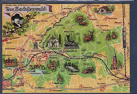 AK Der Sachsenwald Grande - Schwarzenbek - Bergedorf 1970