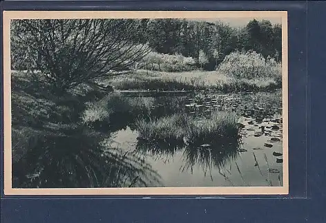 AK Die Buchheide Binower Spitze Teichpartie 1930