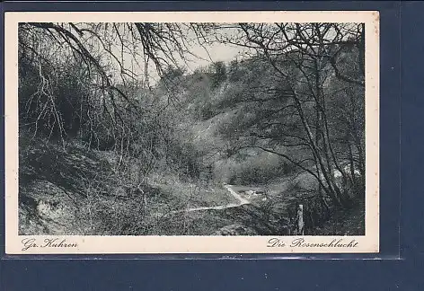 AK Gr. Kuhren Die Rosenschlucht 1930