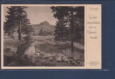 AK T. Herwalt Walddurchblick auf die Hampelbaude 1930