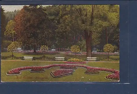AK Bad Kudowa Rosengarten 1920