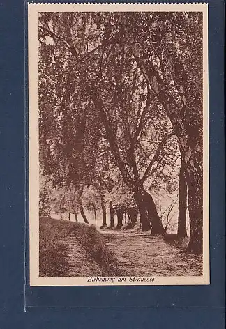 AK Birkenweg am Straussee 1930
