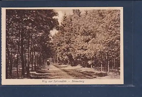 AK Weg zur Spitzmühle - Strausberg 1930