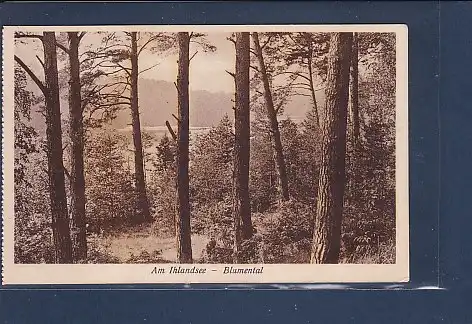 AK Am Ihlandsee - Blumental 1930