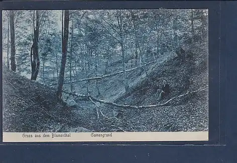 AK Gruss aus dem Blumenthal Gamengrund 1913