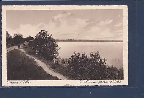 AK Torgau / Elbe Partie am grossen Teich 1930