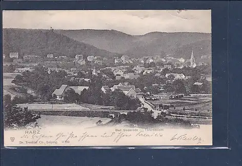 AK Harz Bad Suderode - Totalansicht 1903