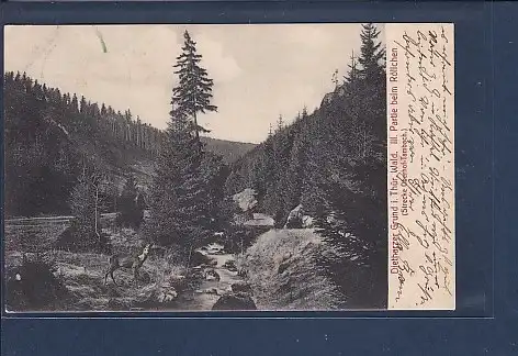 AK Dietharzer Grund i. Thür. Wald III. Partie beim Röllchen 1910