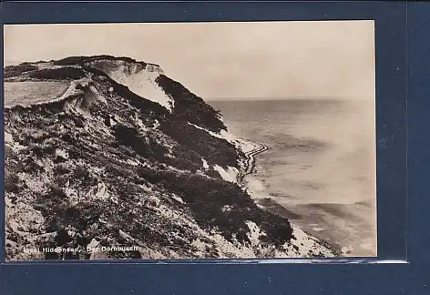 AK Insel Hiddensee Der Dornbusch 1940