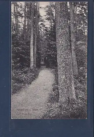 AK Rotenburg i. Hann. In der Aue 1909