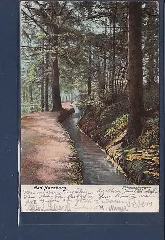 AK Bad Harzburg Philosophenweg 1907