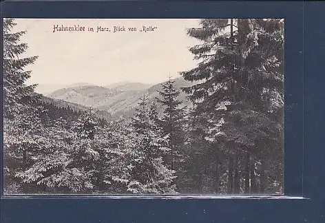 AK Hahnenklee im Harz Blick von Rolle 1905