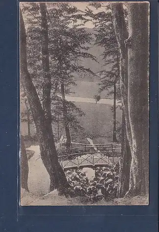 AK Bad Schwartau Im Riesebusch 1924