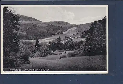 AK Spiegelsberge Teutoburger Wald b. Bielefeld 1936