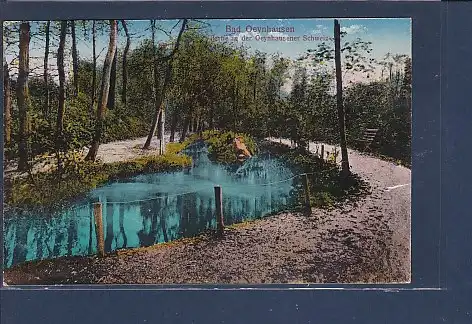 AK Bad Oeynhausen Partie in der Oeynhausener Schweiz 1920